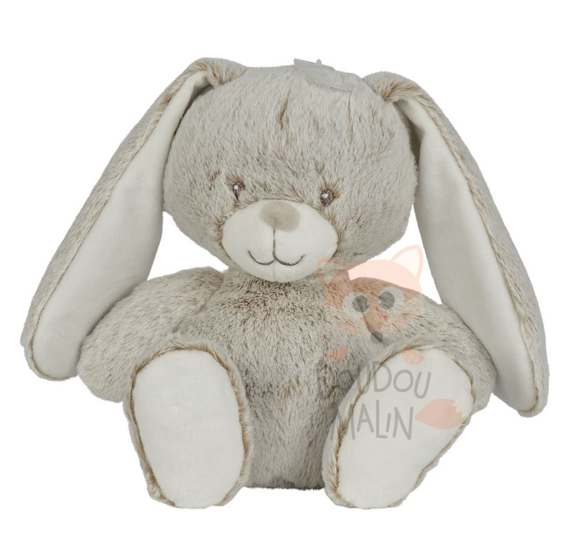  forest lapin marron gris blanc 